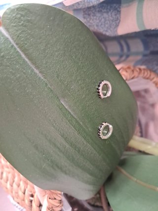 Pendientes plata Bimba y Lola negros