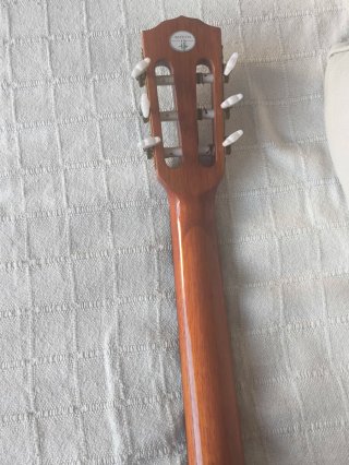 Guitarra Acústica Fender FC-100