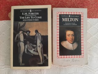 Preciosos libros de Penguin en inglés