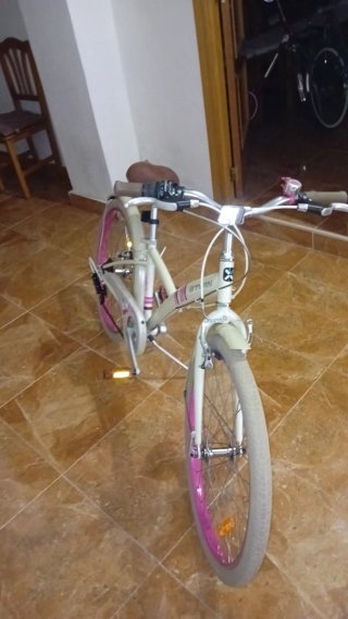 Bicicleta 24 pulgadas