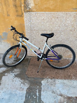 Bicicleta Montaña Orbea Clásica