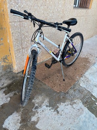 Bicicleta Montaña Orbea Clásica