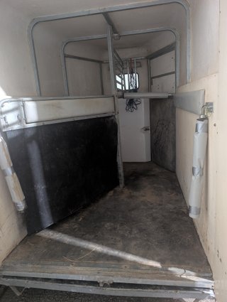 Remolque caballos / van