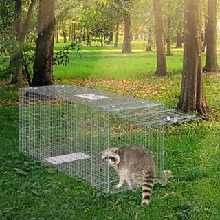 Trampa de Jaula para Animales Vivos, 50" x 20" x 26" Trampa Humana para Gatos de Hierro Galvanizado, Trampa de Animales Plegable con Mango para Perros Callejeros, Armadillos, Mapaches, Marmotas, Z...