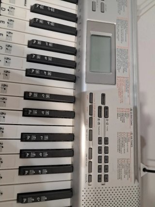 Teclado Digital con Soporte