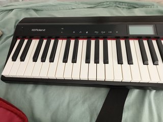 Roland GO Piano 61 con bolsa/mochila original