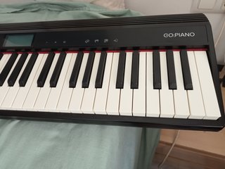 Roland GO Piano 61 con bolsa/mochila original