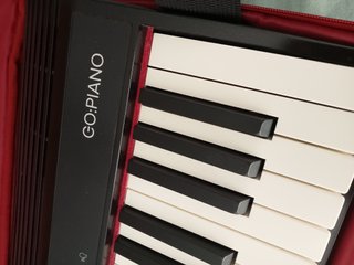 Roland GO Piano 61 con bolsa/mochila original