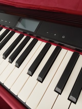 Roland GO Piano 61 con bolsa/mochila original