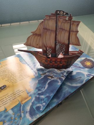 El libro de los piratas