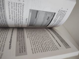 Project 2000 (Guias Practicas) (Spanish Edition)