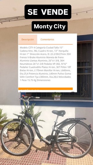 Bici MONTY CITY