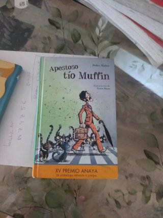 Libro lectura infantil
