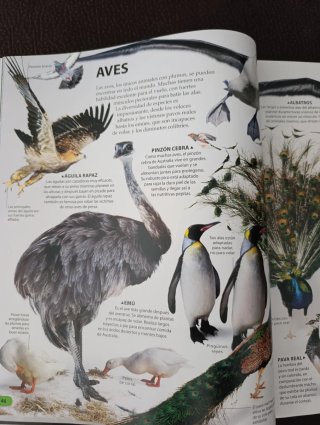 Enciclopedia sobre el mundo