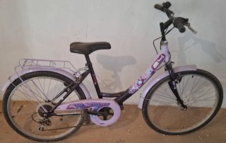 Bicicleta niña morada