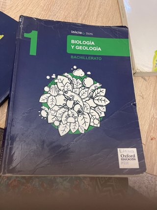 Libros de bachiller