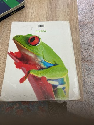 Libros de bachiller