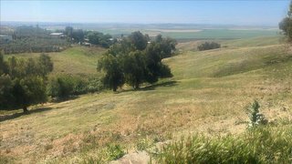 Terreno en venta en Carmona