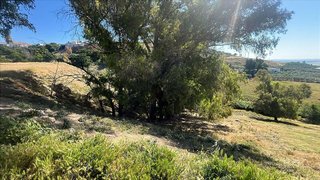 Terreno en venta en Carmona