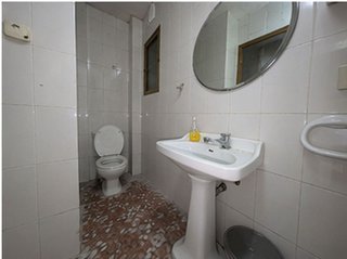 Local comercial en alquiler en El Botànic en Valencia