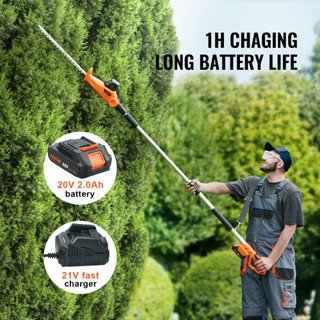 Tagliasiepi Senza Fili 20V con Palo Telescopico e Lama da 18 Pollici