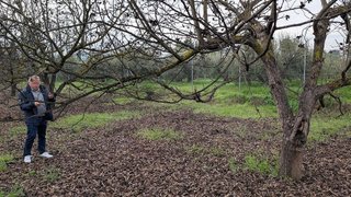 Terreno en venta en El Cigarral - Dehesa - Borrajo en Alhaurín el Grande