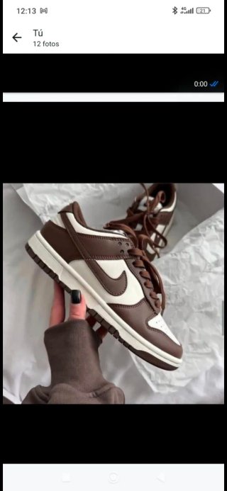 Nike Dunk Marrones y Blancas Talla 39
