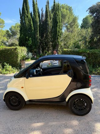 🟢Smart Fortwo pegatina C🟢