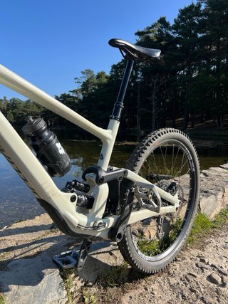 Specialized Enduro Elite 2020