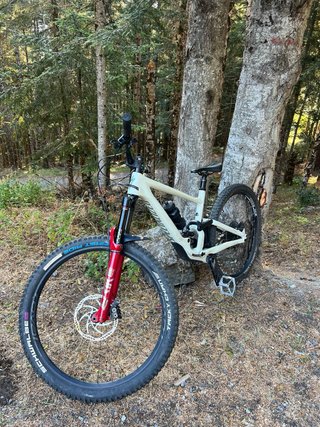 Specialized Enduro Elite 2020