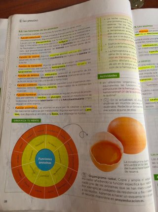 Biología, Geología y Ciencias Ambientales 1 Bac...