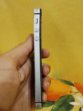Apple iPhone 5S