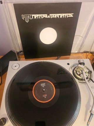 Vinilo MTR Exactly What You Need 2010 Schranz