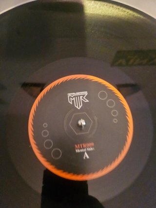 Vinilo MTR Exactly What You Need 2010 Schranz