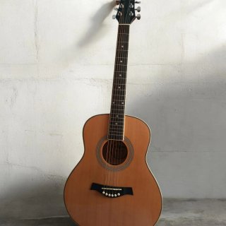 Guitarra electroacústica