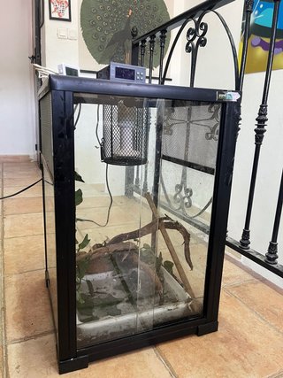 Terrario para reptiles negro y transparente