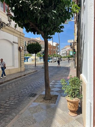 Local comercial en alquiler en Centro en Jerez de la Frontera