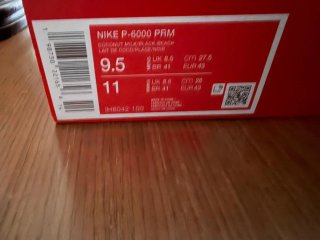 Zapatillas Nike P-6000 Powerman Series