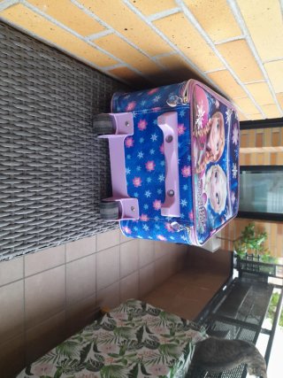 Valigia per Bambini Frozen Disney