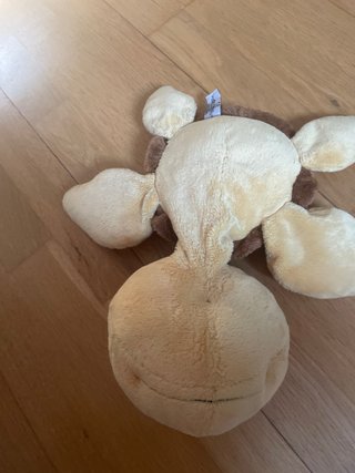 Peluche Tortuga