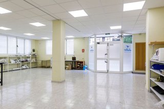 Local comercial en alquiler en Ranillas en Zaragoza