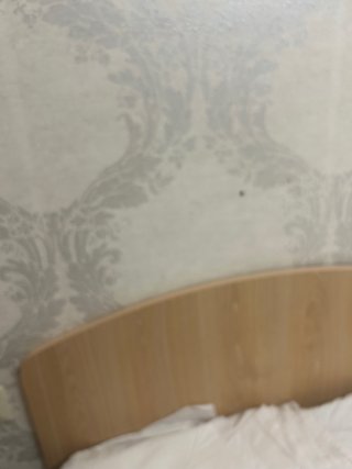 Cama Ortopédica Eléctrica Articulada