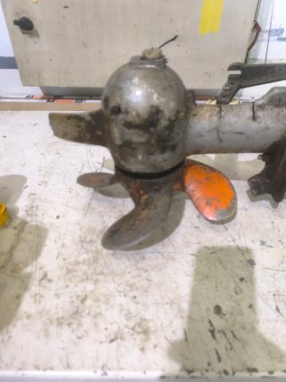 Motor fueraborda. (Emecé)Ni seagull, ni montesa