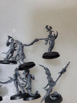 Warhammer, 10 diablillas de slaanesh