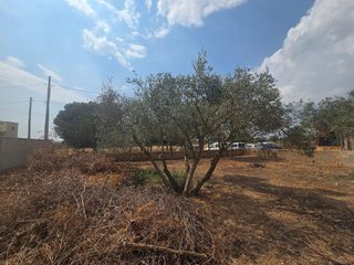Terreno en venta en La Indioteria en Palma de Mallorca