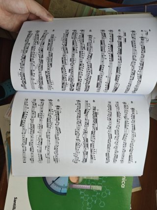 Técnica Básica de Lenguaje Musical
