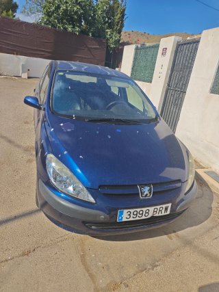 Peugeot 307 2001