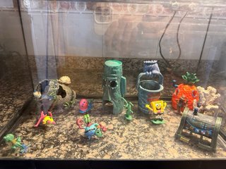 Acuario pecera