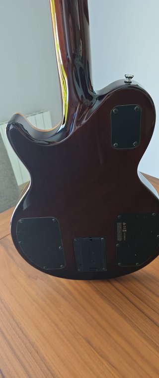 Line 6 JTV-59 James Tyler Variax Guitarra