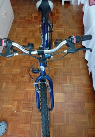 Bicicleta Paseo 5 Velocidades con Parrilla